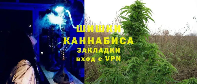 мориарти клад  Старая Купавна  Бошки марихуана LSD WEED 